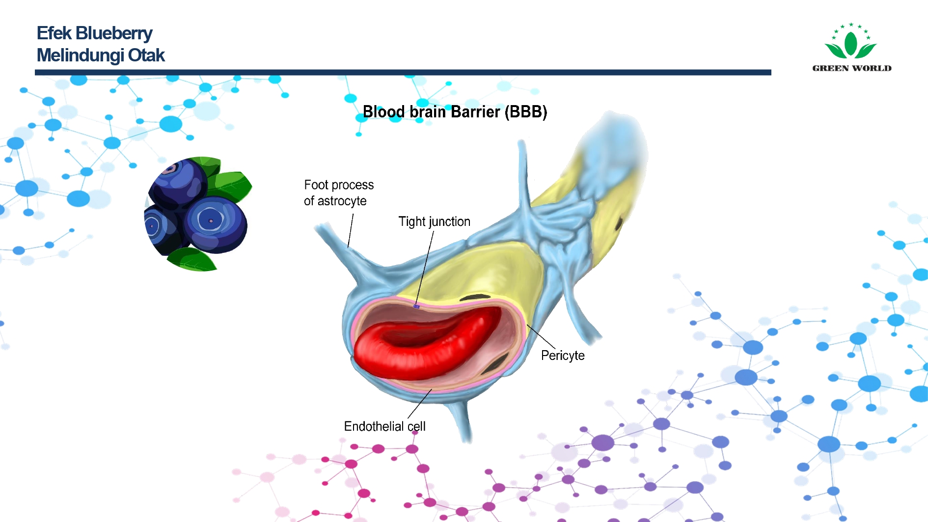 Education content image